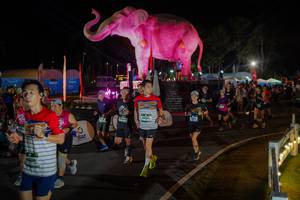 BIB: 
                            <button type="button" onclick="openModal(26552339)" class="btn btn-primary btn-sm float-right btn-popup" data-toggle="modal" data-target=".modal-high-quality">
                        <i class="fas fa-shopping-cart"></i> Add to Cart
                    </button>
                                            <button type="button" onclick="isThisMe(26552339, true)" class="btn btn-success btn-sm float-right btn-popup btn-isme hidden" data-toggle="tooltip" data-placement="bottom" title="นี่คือรูปของคุณใช่ไหม คลิกที่นี่เพื่อเอาเข้าอัลบั้ม">
                        <i class="fas fa-plus"></i> Add to album
                    </button>
                    <button type="button" onclick="isThisMe(26552339, false)" class="btn btn-warning btn-sm float-right btn-popup btn-isnotme hidden">
                        <i class="fas fa-ban"></i> Remove from album
                    </button>